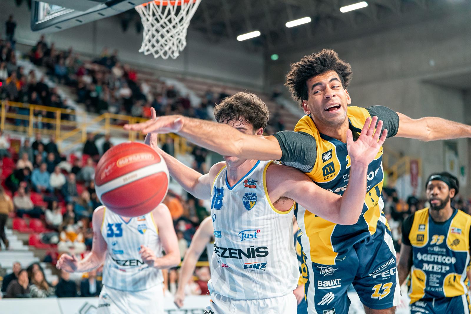 Scaligera basket